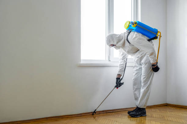 Best Commercial Pest Control Services  in The Villages, FL