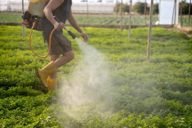 Best Mosquito Control Services  in The Villages, FL