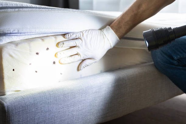 Trusted The Villages, FL Pest Control Experts