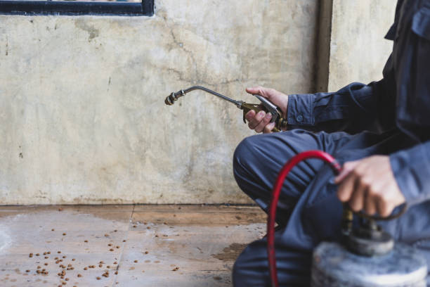 Best Local Pest Control Services  in The Villages, FL